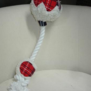 " L'univers animalier " Le Noël du chien " L'univers animalier " Le Noël du chien