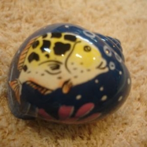 coquille de rechange peinte pour Pagou coquille de rechange peinte pour Pagou