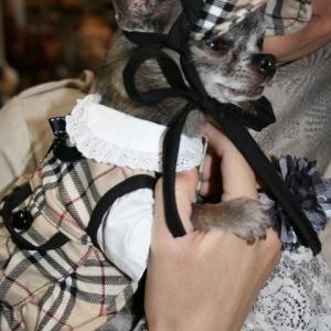 chiwa avec sa jolie robe casquette assortie