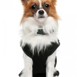 Strass qui était si elegant!