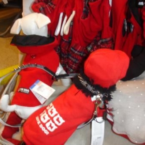 " L'univers animalier " Le Noël du chien " L'univers animalier " Le Noël du chien