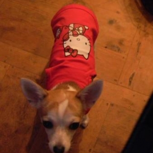 Lily en hello kitty