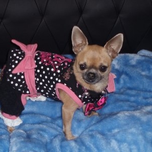Nola en woofling