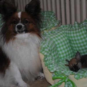 Bounty et Ruby