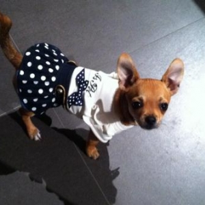 Louna