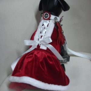 " L'univers animalier " Le Noël du chien " L'univers animalier " Le Noël du chien