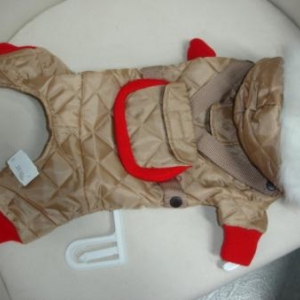 " L'univers animalier " Le Noël du chien " L'univers animalier " Le Noël du chien