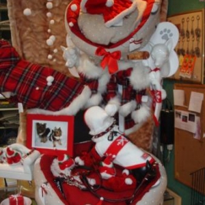 " L'univers animalier " Le Noël du chien " L'univers animalier " Le Noël du chien