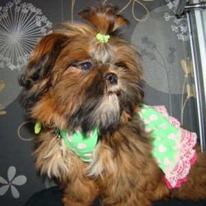 babou prete pour la st valentin