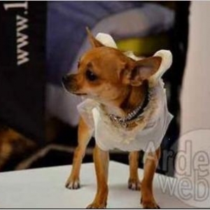louna