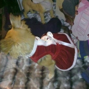 Lily en mere Noel 