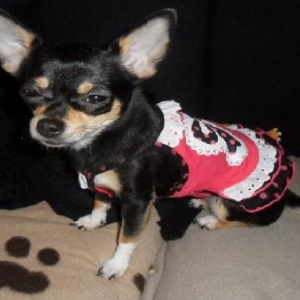 les chichis de nathalie de Ougree