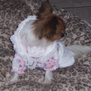 tia dans son ensemble woofling