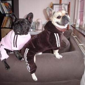 jogging velour  59 euro