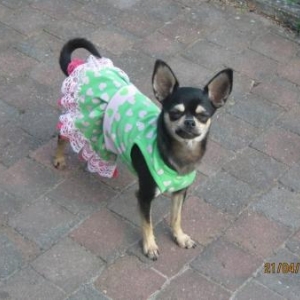 Lola