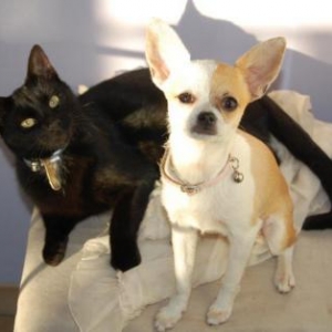 Kelly et ninou de sylvia solheid