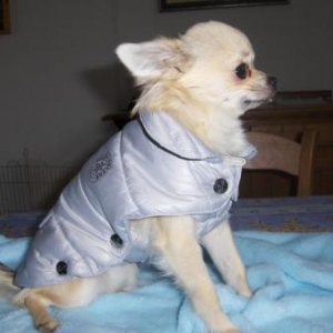 paco