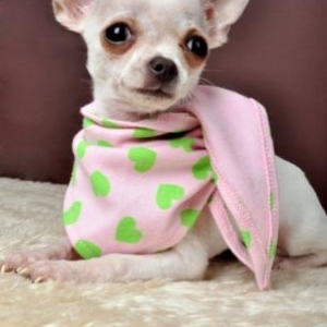 pepita vous presente un joli foulard