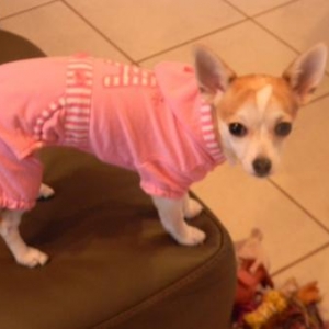 Lily en jogging