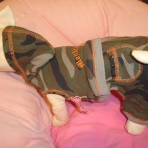 jogging cotton 39 euro jogging cotton 39 euro