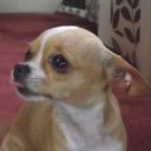 la famille de carine de eghezee