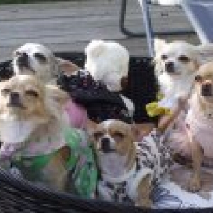 la famille de Carinne Beaugnee de Egezee la famille de Carinne Beaugnee de Egezee