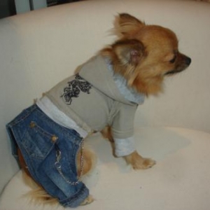 pantalon avec sweet 59 euro pantalon avec sweet 59 euro