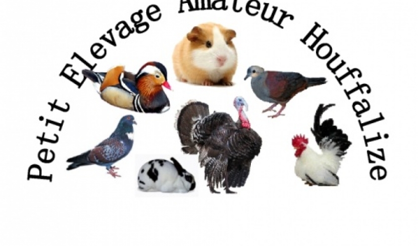 notre logo notre logo