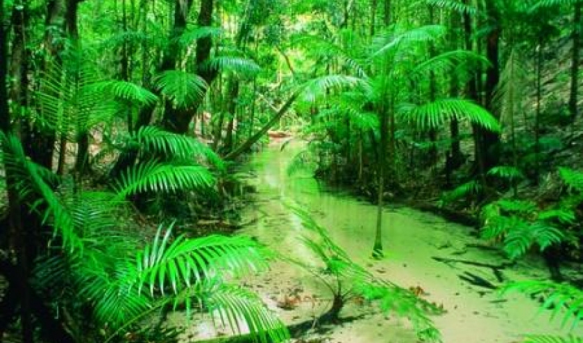 (c) Tourism Queensland - Photographer Peter Lik
