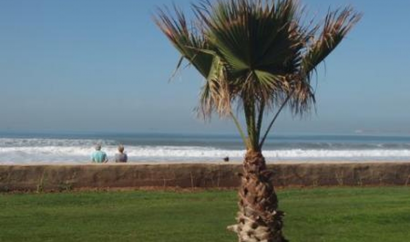 agadir plage riu tikida dunas