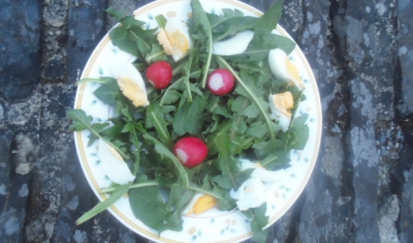 Petite salade de lapin, trois radis, quelques morceaux d'œufs dur.