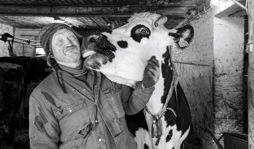 "Réciprocité", Prix de la Catégorie "Agriculture Durable" © "Agri-Nature" © Ph. : Valérie Villain