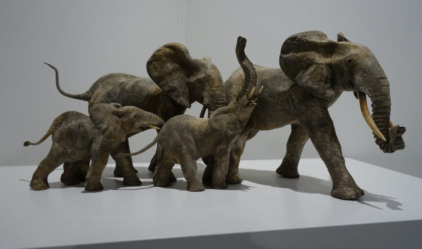 © François Vandenberghe © "Cafmeyer Gallery" © Photo : Fabien Sebo
