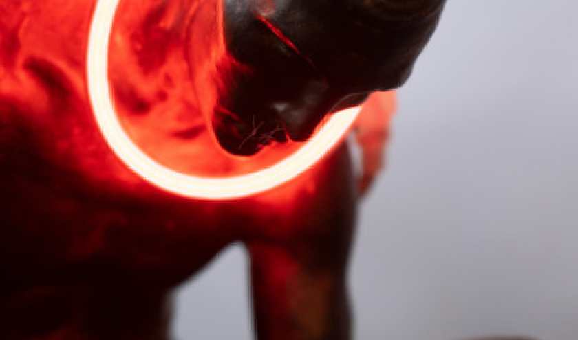 "L'Arpenteur" (2022/détail) © Johan Muyle © Photo : Ethel Lilienfeld