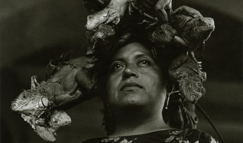« Nuestra Señora de las Iguanas » (« N.-D. des Iguanes »)/Juchitán, Oaxaca/1979 © Graciela Iturbide