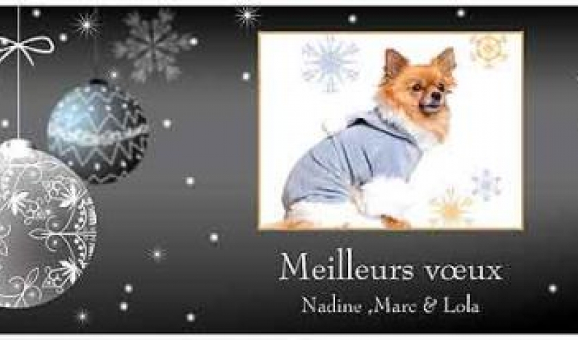 BONNE ANNEE 2012 BONNE ANNEE 2012