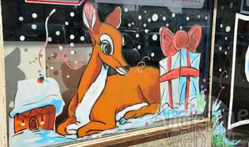 vitrine de NOEL