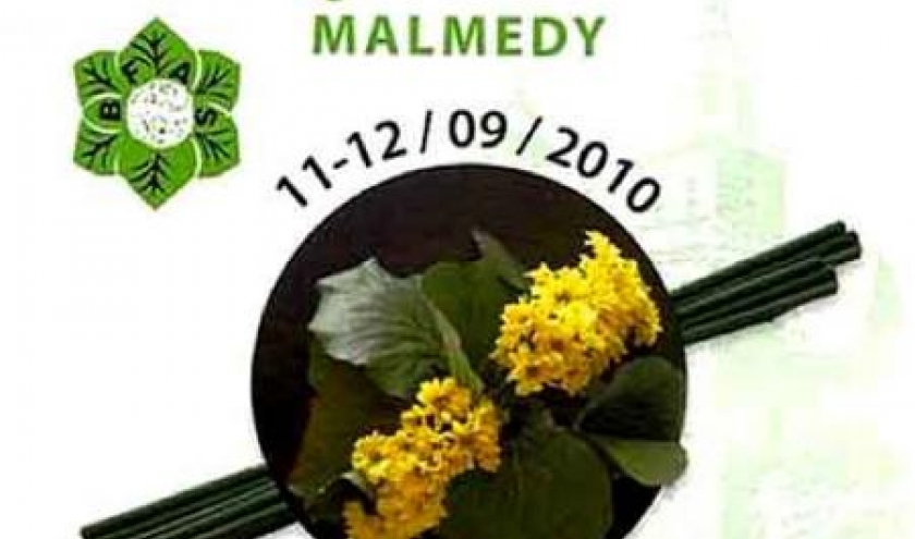 Belgian flower arrangement society Belgian flower arrangement society
