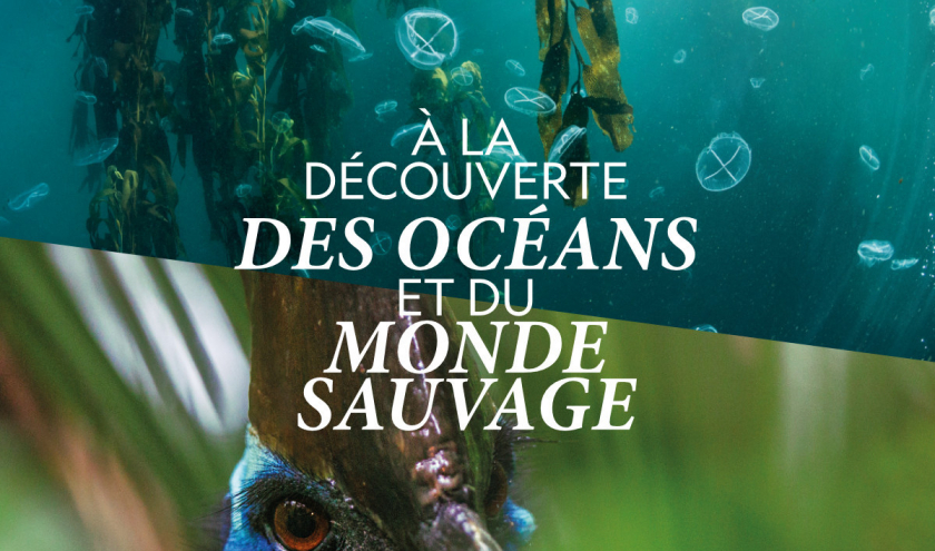  The Greatest Wildlife Photographs et Pristine Seas