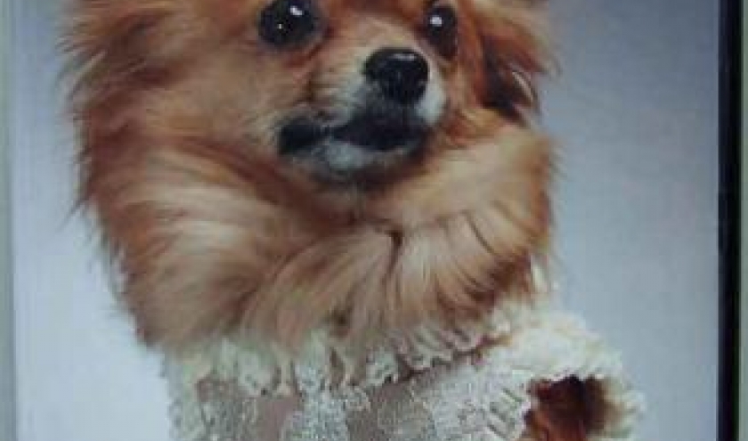 ardenne TV ardenne TV