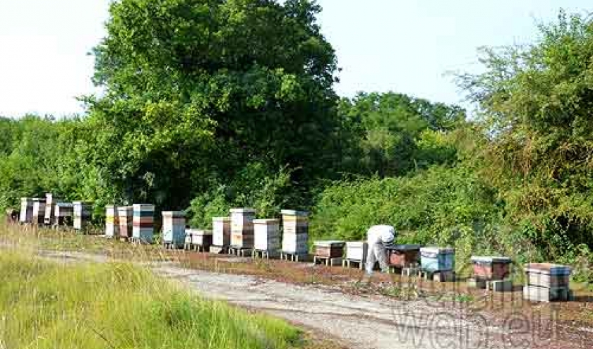 Alain Paublanc Alain Paublanc