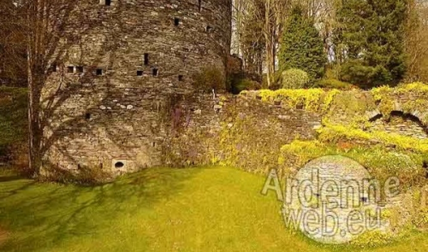 Chateau de Salmchateau