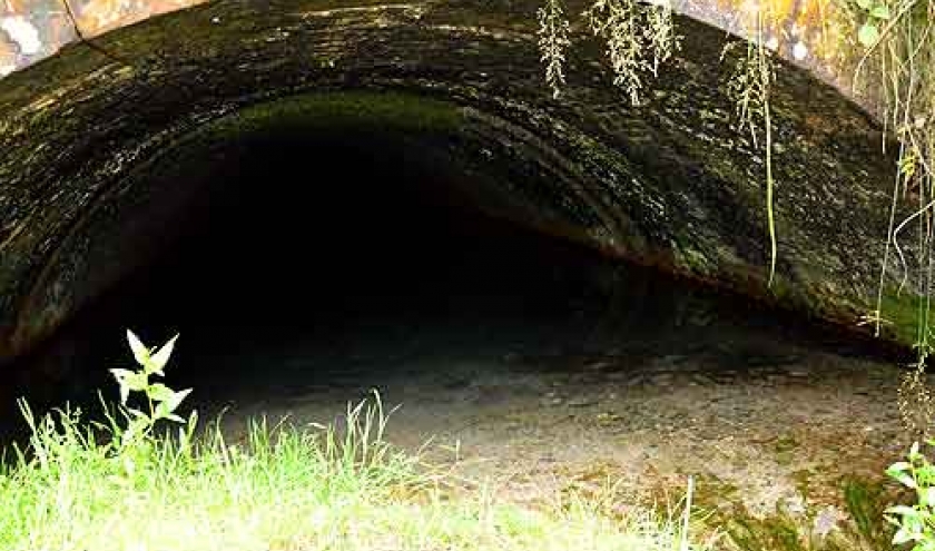 Canal de Bernistap - Roman