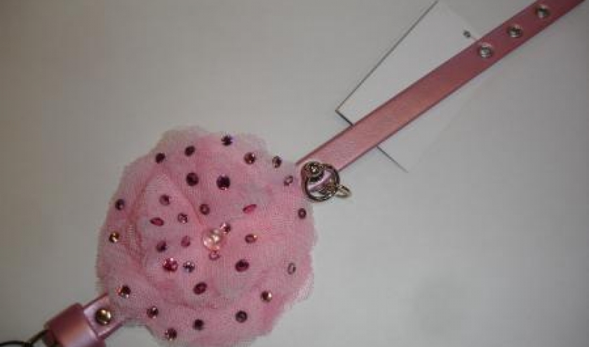 " L'univers animalier " à Hotton ; colliers pour petits chiens " L'univers animalier " à Hotton ; colliers pour petits chiens