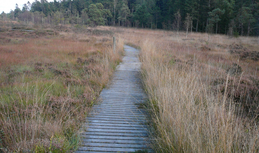 Caillebotis en état ( photo Detry ) Caillebotis en état ( photo Detry )
