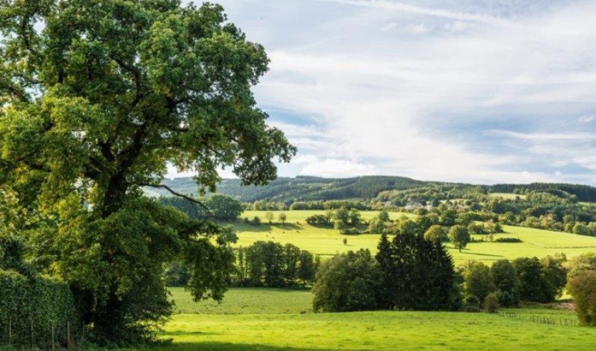 Bellevaux ( photo Ostbelgien - Dominik Ketz )