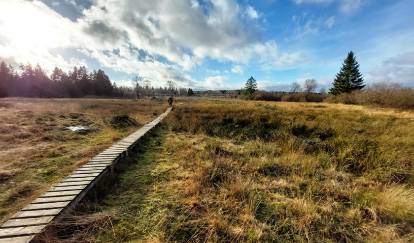 Même sans neige, une randonnée hivernale dans les Cantons de l'Est est une expérience à vivre. ©ostbelgien.eu