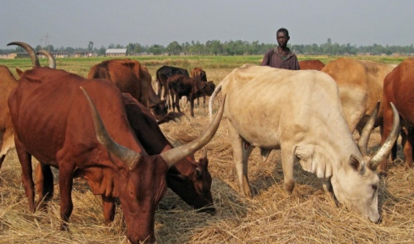 Vacances aux Bianos Vacances aux Bianos