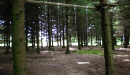 Jeu dans le bois