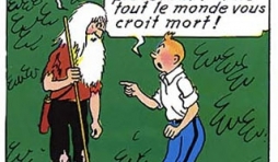 Mon nom est Fawcett, Fawcett...